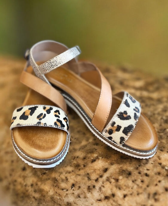 Fiesta Time - Diba True - Cheetah