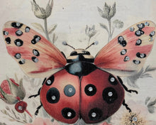 Load image into Gallery viewer, Lady Bug Tee - No Bling - No Cut - Final Sale Made to Order