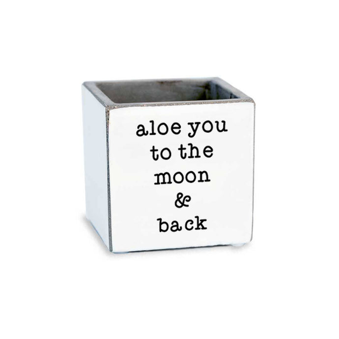 Pinetree Innovations - Aloe You To The Moon & Back | Succulent Pot/Candle Holder